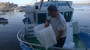 Raddoppiano in Veneto le risorse comunitarie per la pesca