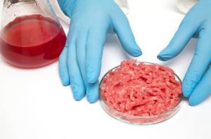 Carne preparata in laboratorio: al via i prossimi esperimenti
