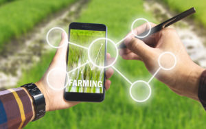 L'agricoltura digitale che decolla con SmartAgriHubs