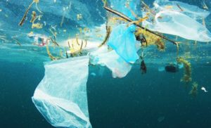La plastica abbonda negli oceani: pronti ad utilizzare nuove soluzioni scientifiche?