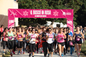 A Napoli Bosco in Rosa: Corri tra i capolavori di Capodimonte