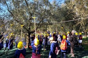Frantoi aperti in Campania: Olio nuovo per oltre mille bambini