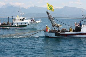 Covid 19: Coldiretti Campania, misure UE a sostegno dei pescatori