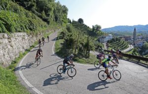 Al via la Prosecco Cycling, da 22 nazioni per pedalare tra le colline Unesco