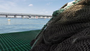 FEAMP, Lazio: 500 mila euro a imprese di pesca ferme per la pandemia
