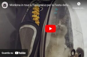 Monkina celebra il suo #8marzo a Trevignano Romano