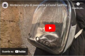 Monkina in gita di Pasquetta a Castel Sant'Elia (VT)