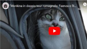 Monkina in doppio tour romagnolo: Faenza e Riccione