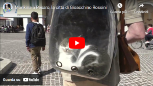 Monkina a Pesaro, la città di Gioacchino Rossini